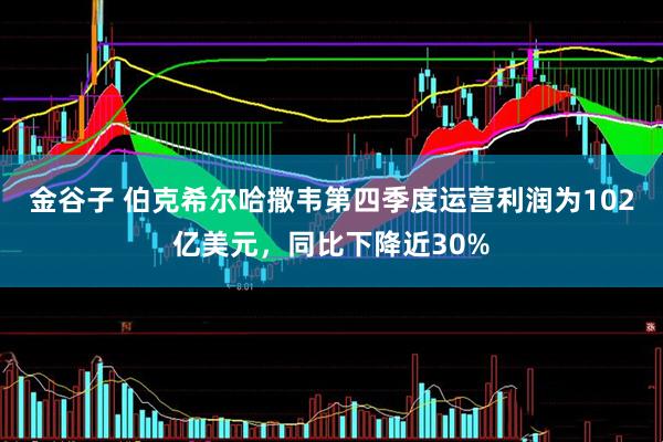 金谷子 伯克希尔哈撒韦第四季度运营利润为102亿美元,同比下降近30%