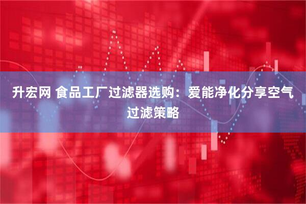 升宏网 食品工厂过滤器选购：爱能净化分享空气过滤策略