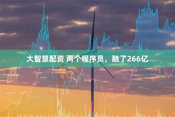 大智慧配资 两个程序员，融了266亿